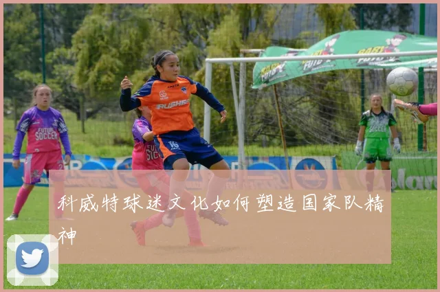 科威特球迷文化如何塑造国家队精神