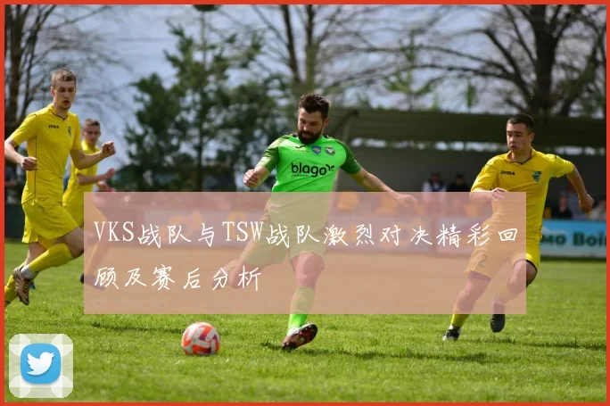 VKS战队与TSW战队激烈对决精彩回顾及赛后分析
