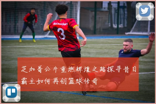 芝加哥公牛重燃辉煌之路探寻昔日霸主如何再创篮球传奇