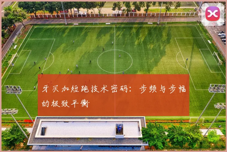 牙买加短跑技术密码：步频与步幅的极致平衡