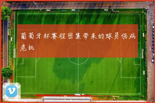 葡萄牙杯赛程密集带来的球员伤病危机