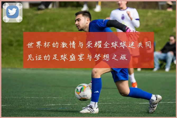 世界杯的激情与荣耀全球球迷共同见证的足球盛宴与梦想之旅