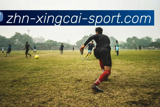 世界杯的荣耀与梦想交织在一起球迷的热情点燃了全球的足球狂欢盛宴